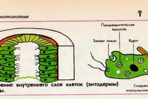 Кракен дарк шоп