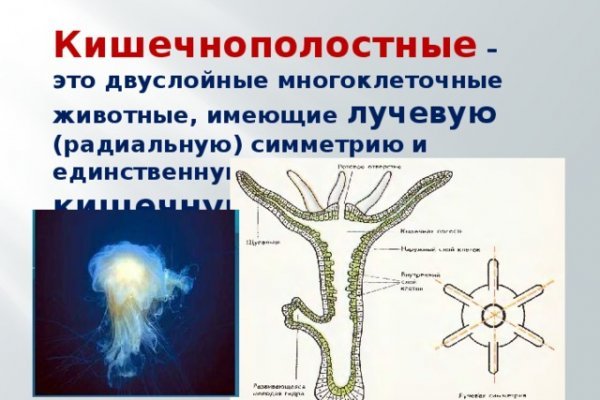 Кракен найдется все что это